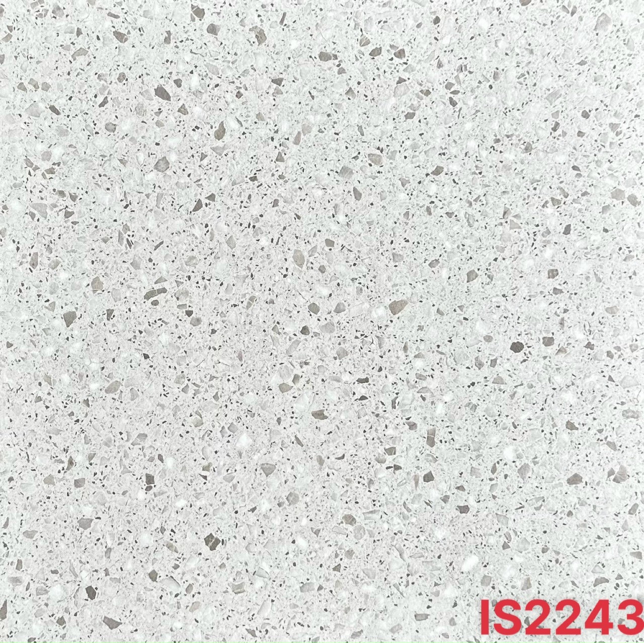 IS 3243 IBTFLOR