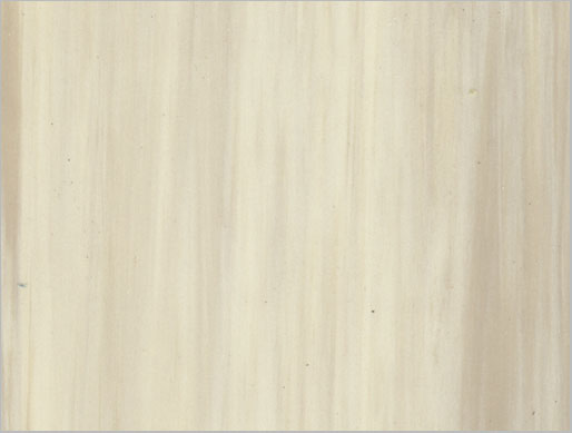 Sàn kháng khuẩn Responsive Vega plus 4699-571-4