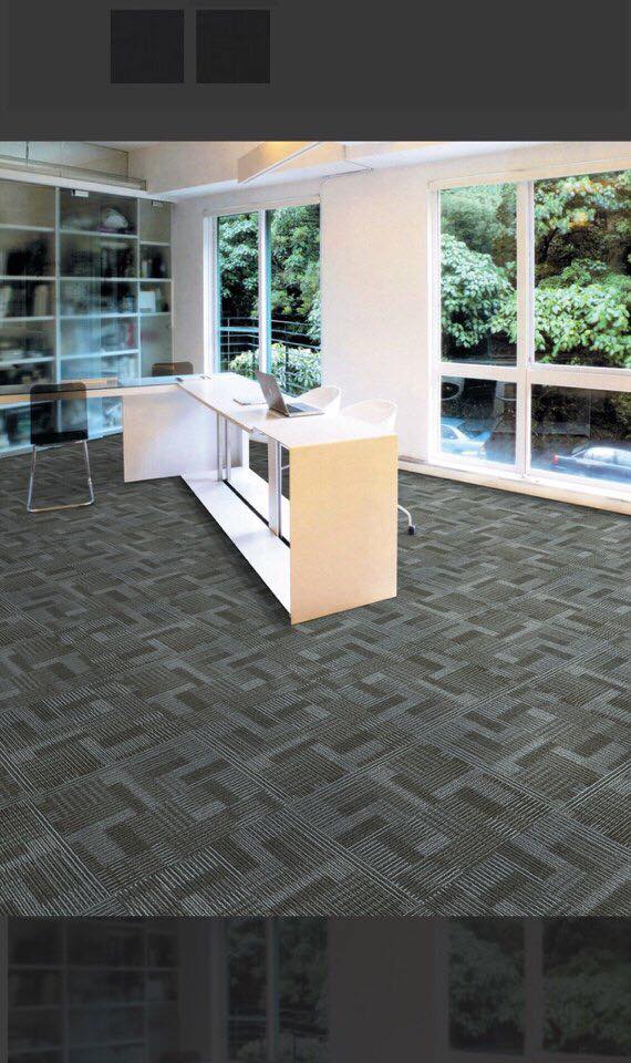 Thảm lót sàn Paragon Pa003