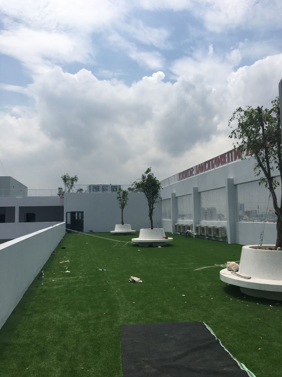 cỏ nhân tạo tốt nhất