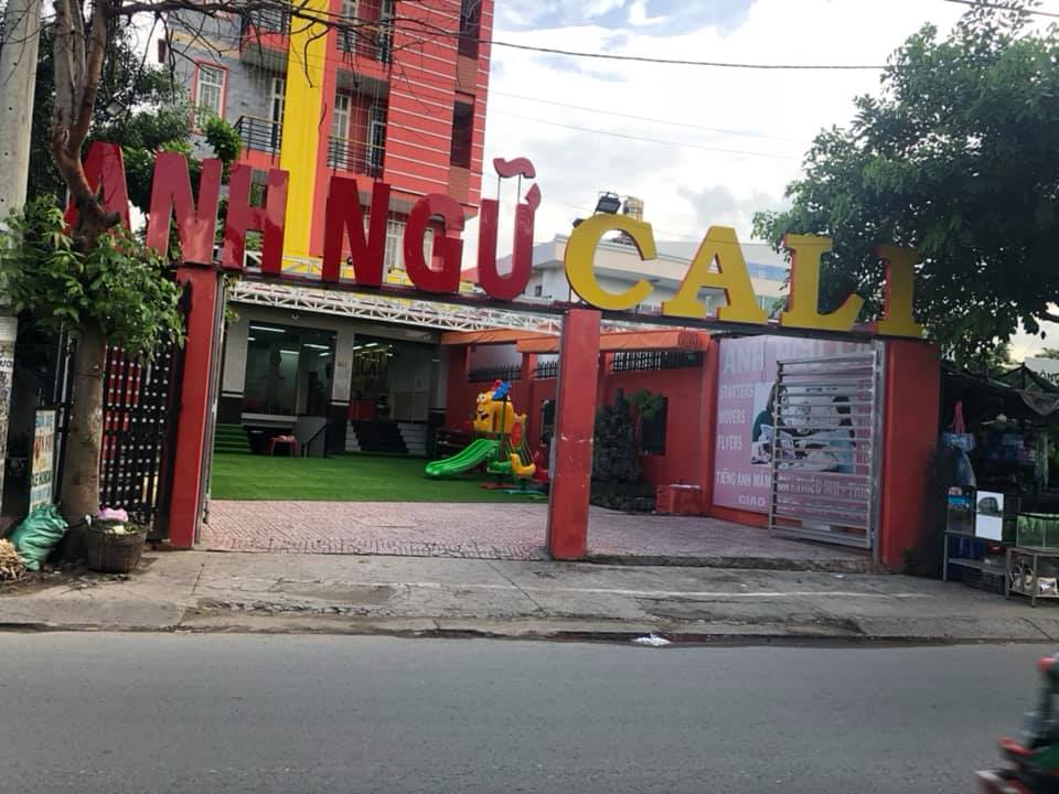 thảm cỏ nhân tạo 